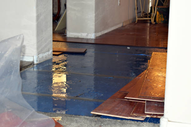 Professional Basement Flood Cleanup technician working in Peach Springs, AZ
